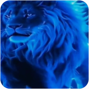 دونيشن Serhat Durmus