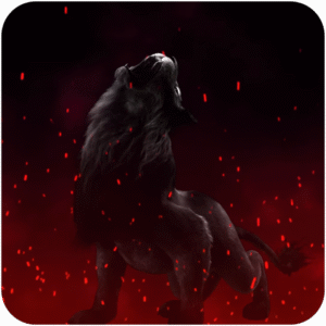 دونيشن warriors